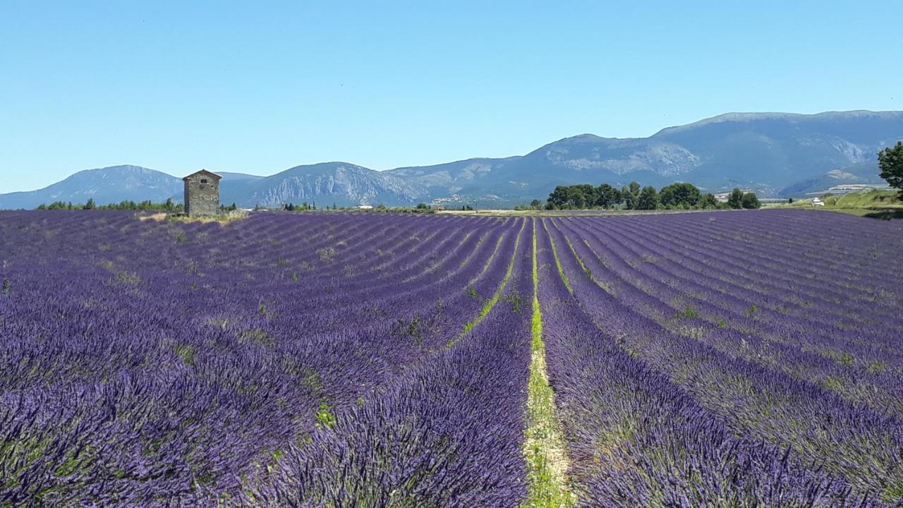 Reve Du Verdhon Regusse Bagian luar foto
